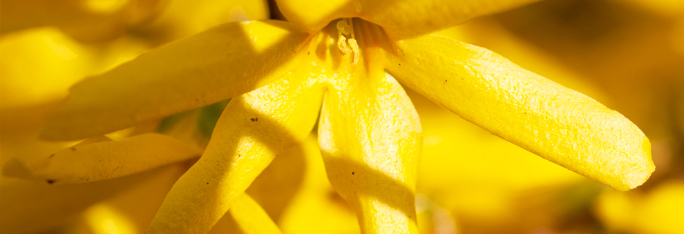 在线电话轰炸工具